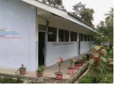 Perpustakaan SD N 034804 Pangaribuan